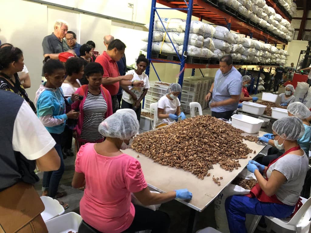 Community members in livelihood processing activity